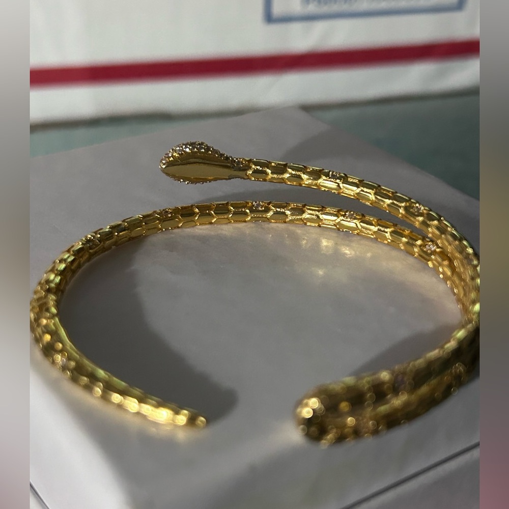 Snake Adjustable Bangle - Picture 8 of 9